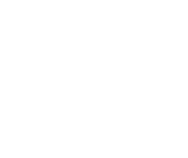 logo dev
